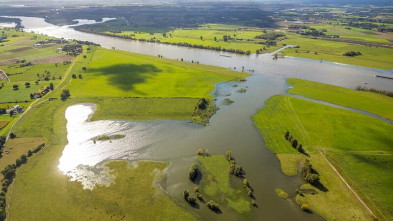 Klimabericht des DWD für 2024: So hart trifft Deutschland die Klimakrise