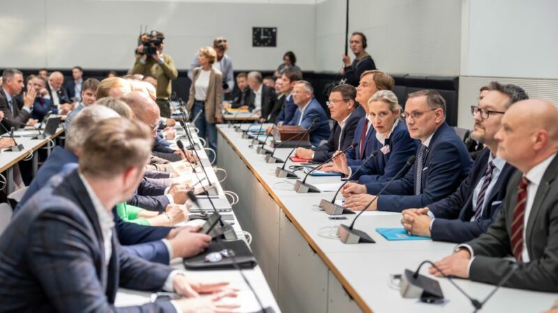 AfD: Warum die Partei keine Ausschussvorsitze im Bundestag bekommt