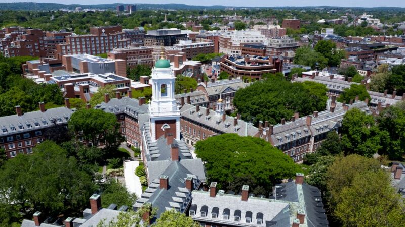 USA: Regierung von Donald Trump stoppt Visa für Studenten, Austauschschüler und Au-pairs