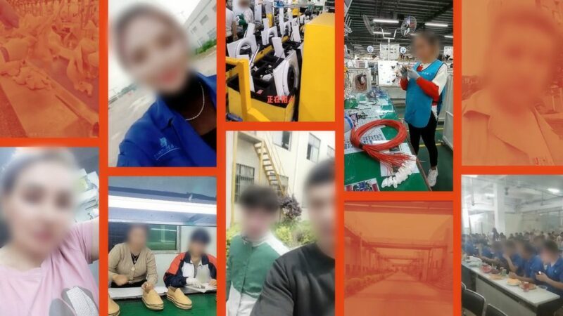 Zwangsarbeit in China: SPIEGEL-Recherche zeigt Ausmaß der Uiguren-Ausbeutung