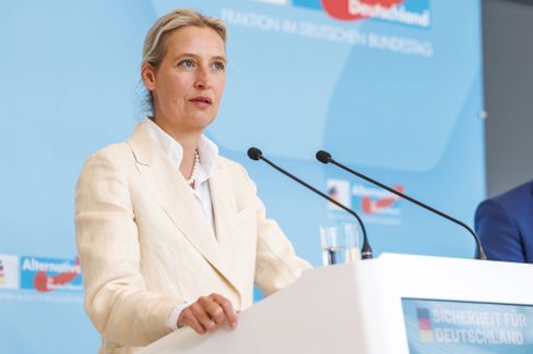 News: Verfassungsrichter, AfD, Bundestag, Alice Weidel, Handelsstreit mit den USA